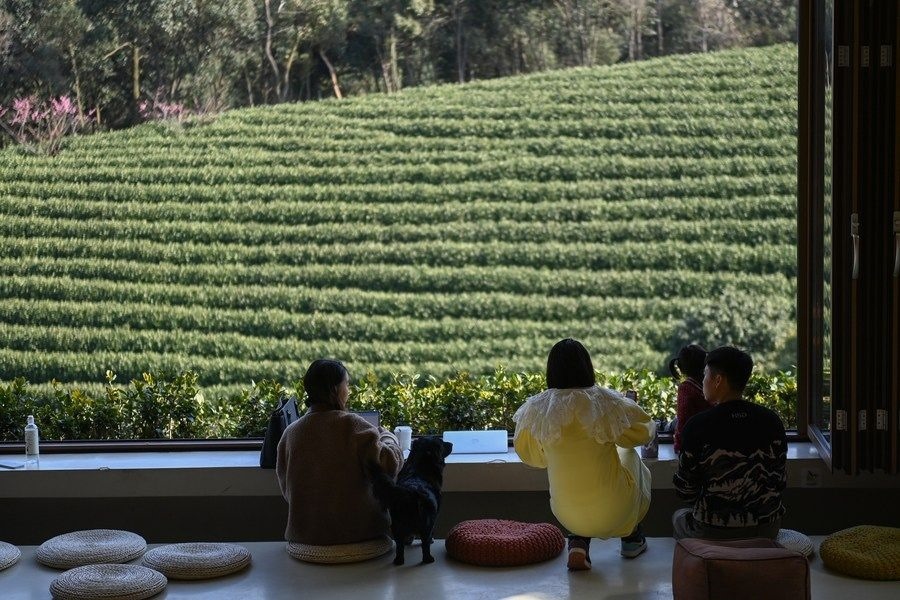 游客在浙江省安吉縣黃杜村萬畝茶園邊的咖啡館休閑（2023年2月21日攝）。