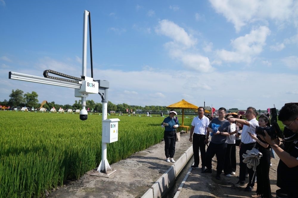 在北大荒集團閆家崗農場有限公司農業(yè)現代化示范區(qū)，工作人員在介紹利用數字技術的葉齡診斷儀（2023年8月10日攝）。新華社記者 王建威 攝