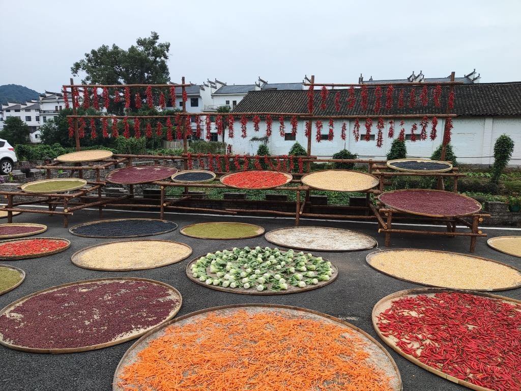 近日，江西省上饒市婺源縣秋口鎮(zhèn)王村村民晾曬的農(nóng)作物。新華社記者 劉佳敏 攝