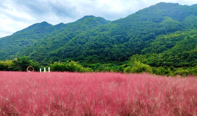 寶成線鳳縣境內(nèi)的路邊。