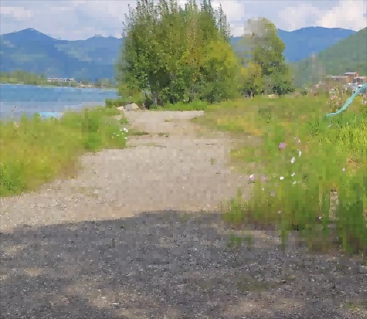 王軍所說被填區(qū)域。 人民網(wǎng)記者 黃鈺攝