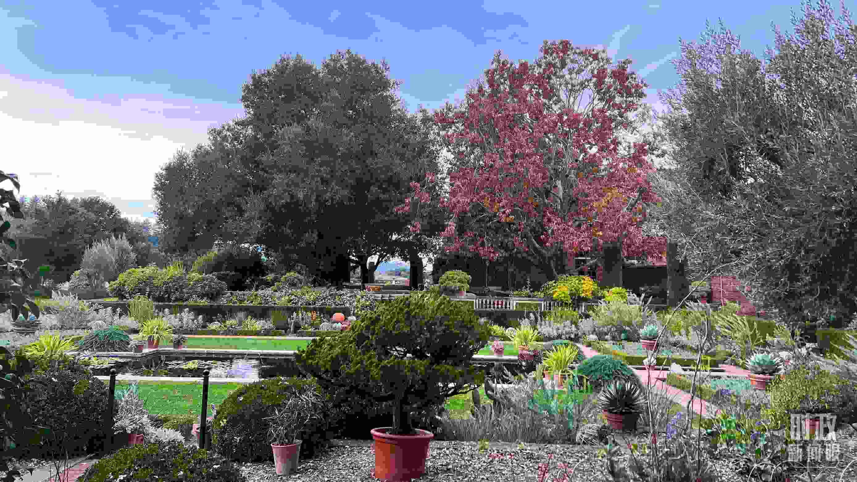 斐洛里莊園被稱作美國20世紀(jì)現(xiàn)存最精美鄉(xiāng)村莊園之一。（總臺(tái)央視記者程鋮拍攝）