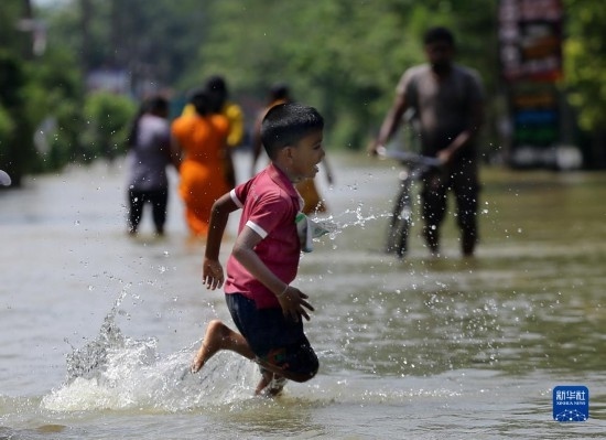 11月24日，一名男孩在斯里蘭卡加姆珀哈涉水出行。新華社發(fā)（阿吉特·佩雷拉攝）