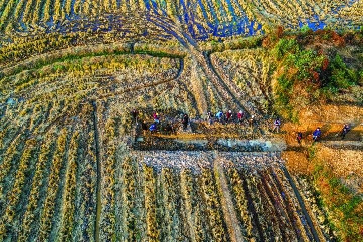 良渚遺址考古發(fā)掘現(xiàn)場。