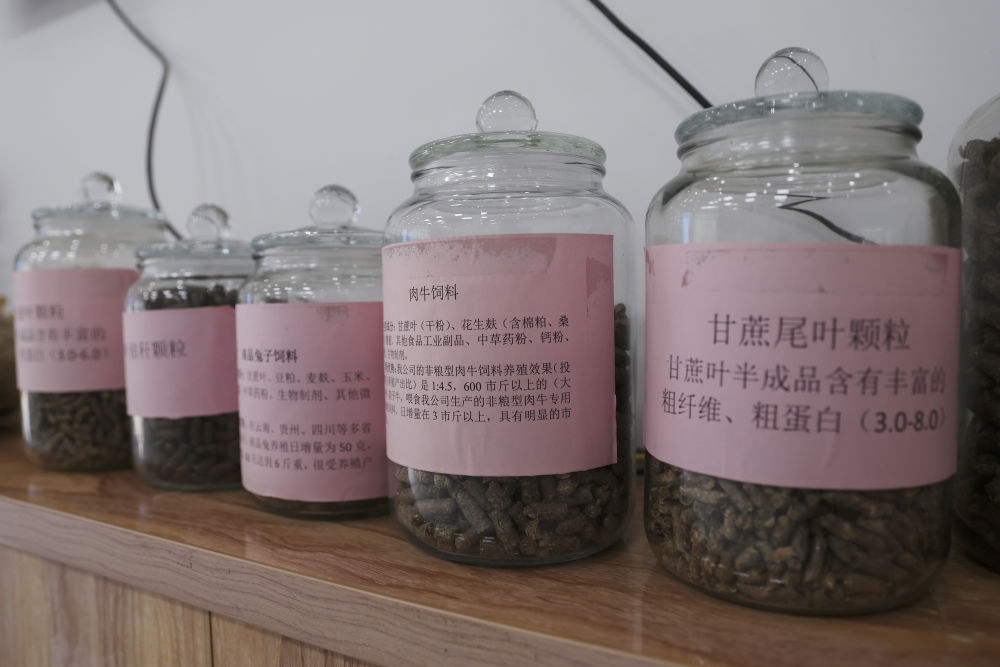 這是12月13日在來賓市興賓區(qū)小平陽鎮(zhèn)一家飼料廠拍攝的以甘蔗尾葉為原料制成的飼料。