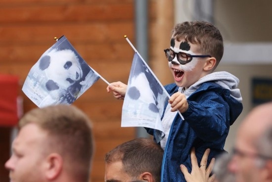  2023年7月26日，在法國圣艾尼昂市博瓦勒野生動(dòng)物園外，一名兒童等待送別熊貓“圓夢”。新華社記者 高靜 攝