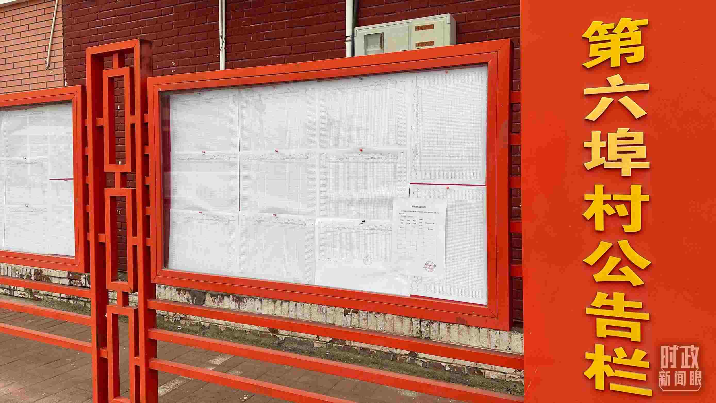 △第六埠村公告欄里張貼著“天津市2023年蓄滯洪區(qū)農(nóng)作物、經(jīng)濟林補償標準表”等。（總臺央視記者覃思拍攝）