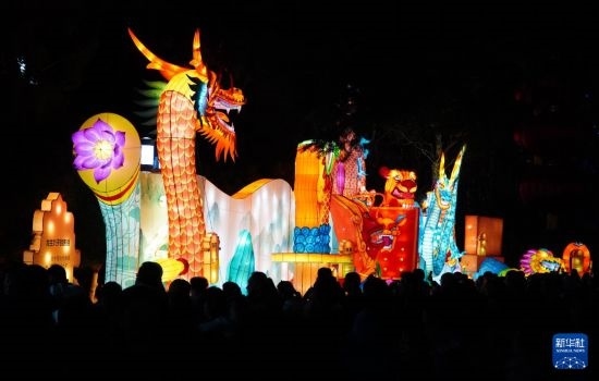 2月11日晚，人們在濟南市趵突泉公園觀賞花燈。