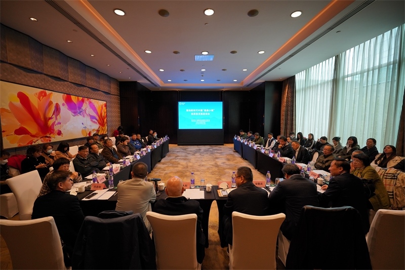座談會現(xiàn)場。主辦方供圖