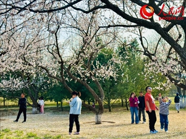 游客在北京長(zhǎng)陽(yáng)公園賞花。人民網(wǎng)記者 劉微攝