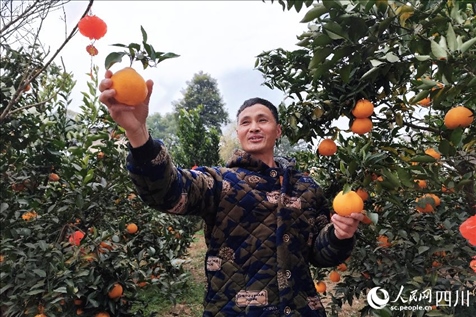 鐵牛村村民趙光進。人民網(wǎng)記者 朱虹攝