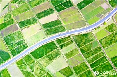 無人機視角下的西藏山南市瓊結(jié)農(nóng)田。人民網(wǎng)記者 次仁羅布攝