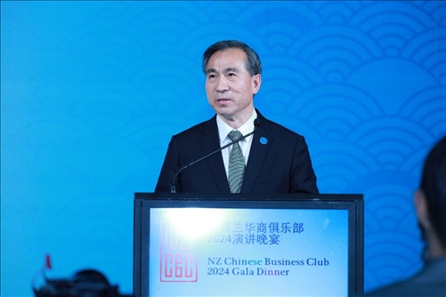 中國貿(mào)促會任鴻斌會長。主辦方供圖