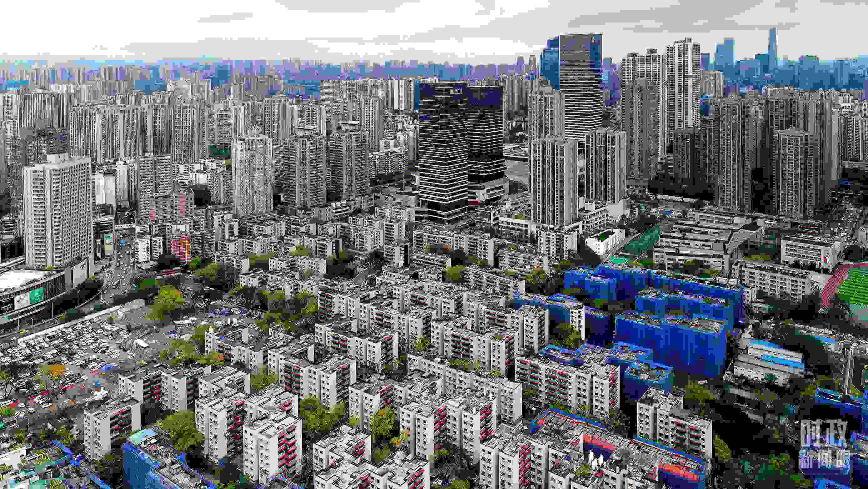 △九龍坡區(qū)謝家灣街道民主村社區(qū)。（總臺記者于濱拍攝）