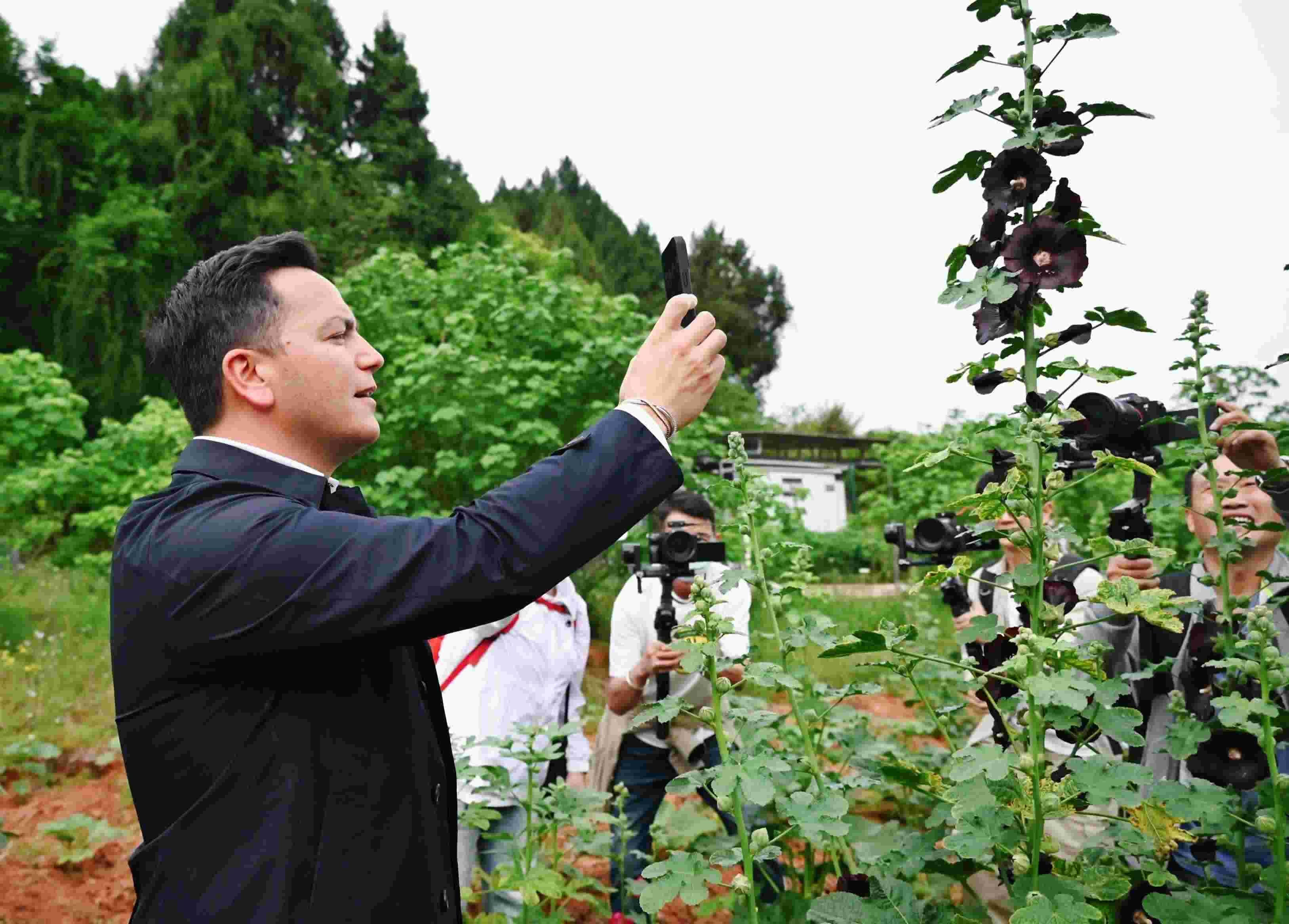  △2024年4月23日，國際園藝生產(chǎn)者協(xié)會主席萊昂納多·卡皮塔尼奧在成都市金堂縣鮮花山谷景區(qū)考察蜀葵產(chǎn)業(yè)。
