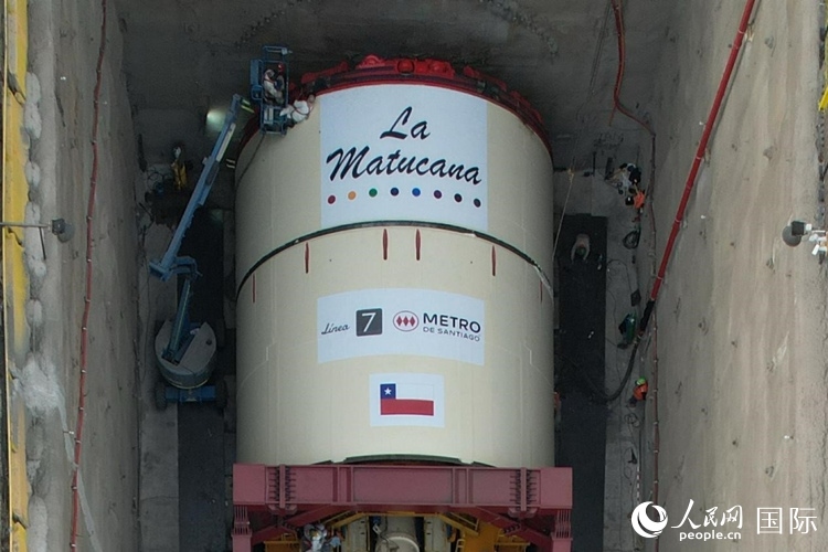 質(zhì)構(gòu)機(jī)全景。陳露明攝