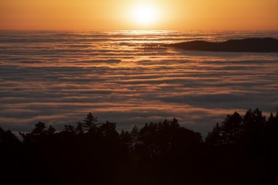 這是5月14日在美國(guó)加利福尼亞州馬林縣拍攝的云海。新華社發(fā)（李建國(guó)攝）