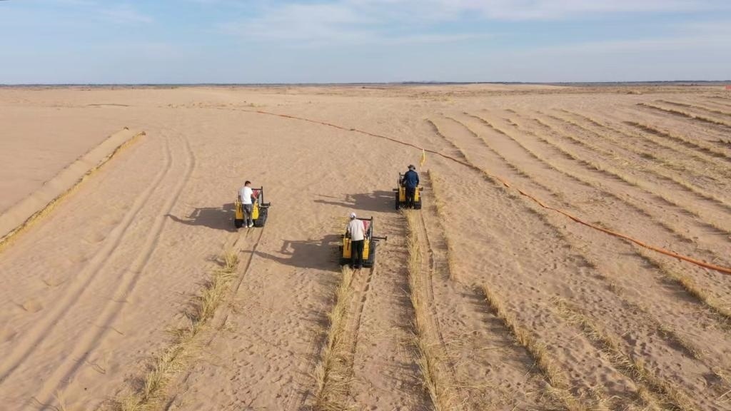 內(nèi)蒙古巴彥淖爾市烏拉特后旗西補隆林業(yè)管護中心職工駕駛機械鋪設(shè)壓沙障。新華社記者 李云平 攝