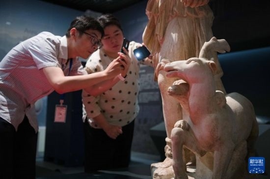 7月2日，安徽博物院工作人員在拍攝開箱后的古希臘文物。新華社記者 張端 攝