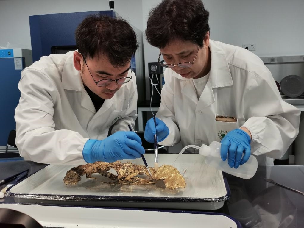 2023年7月，馬燕如（右）帶著魯海子（左）修復(fù)三星堆遺址出土的黃金面具。新華社發(fā)（四川省文物考古研究院供圖）