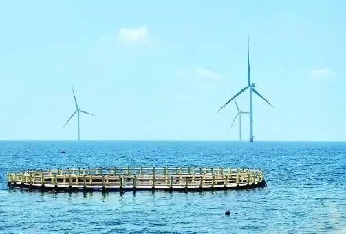 △山東萊州風(fēng)電項(xiàng)目實(shí)現(xiàn)了海上風(fēng)電和海洋牧場融合發(fā)展。