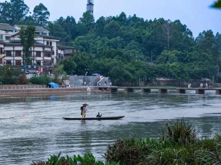 蘇稽古鎮(zhèn)的漁民在進(jìn)行魚(yú)鷹捕魚(yú)表演。本報(bào)記者 伊霄攝