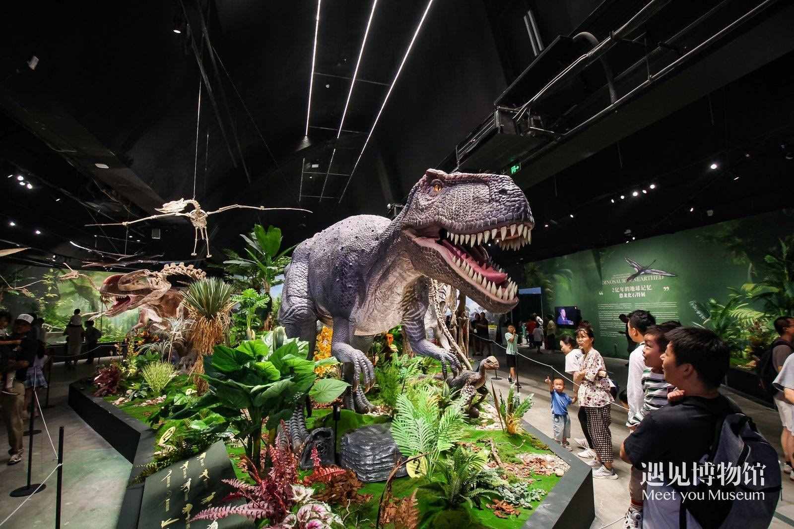 2. 游客參觀“2億年的地球記憶——恐龍化石特展”。遇見博物館供圖