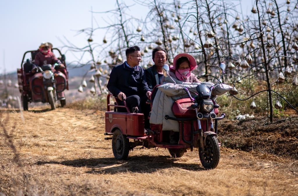 全國人大代表袁海波（右三）在云南省曲靖市馬龍區(qū)一種植基地了解務(wù)工人員就業(yè)需求（2023年2月11日攝）。新華社記者 江文耀 攝
