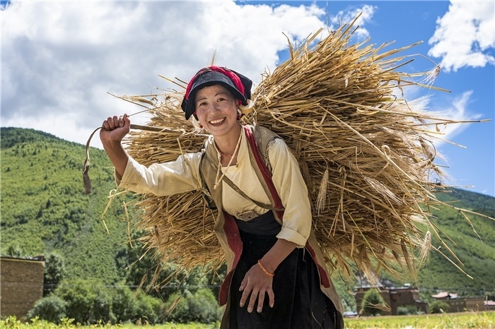 康定市甲根壩鎮(zhèn)青稞豐收，農(nóng)牧民臉上洋溢著豐收的喜悅。林革文攝