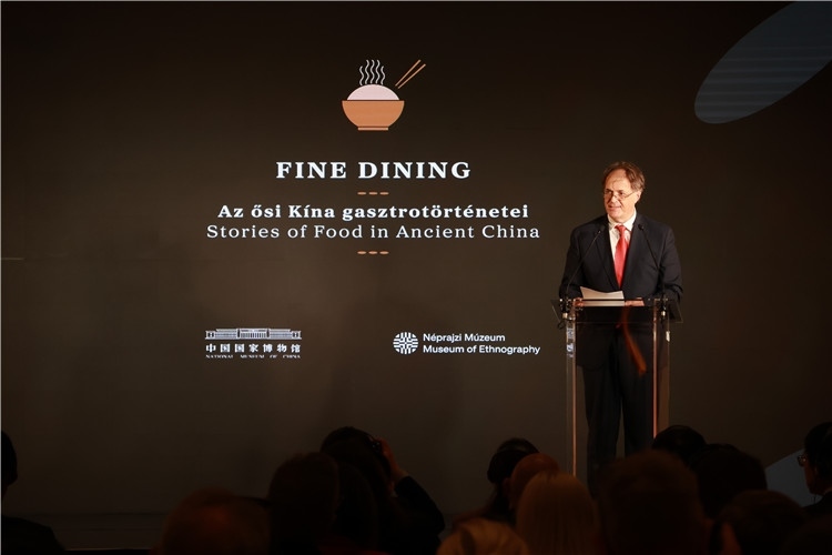 匈牙利文化和創(chuàng)新部副國務(wù)秘書喬鮑致辭。圖片由中國駐匈牙利大使館提供。