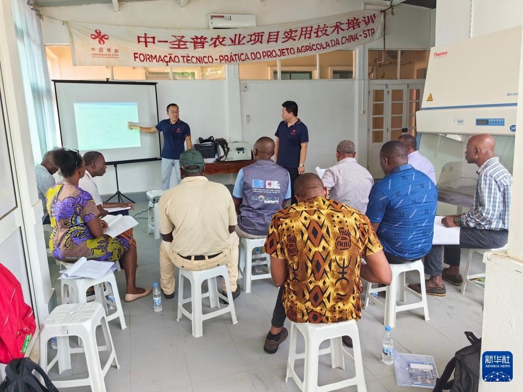 中國援圣普農(nóng)牧業(yè)技術(shù)項目組專家段振華（后左）在圣多美和普林西比的國家獸醫(yī)實驗室開展動物疫病監(jiān)測技術(shù)培訓（2024年6月21日攝）。新華社發(fā)（中國援圣普農(nóng)技組供圖）