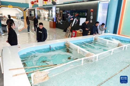 9月20日，游客在吉林省琿春市的帝王蟹保稅店內(nèi)選購帝王蟹。新華社記者 許暢 攝