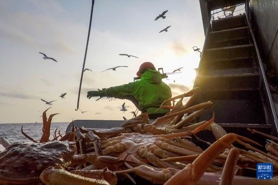 這是俄羅斯蟹業(yè)集團(tuán)工作人員進(jìn)行遠(yuǎn)洋捕撈的資料照片。新華社發(fā)（俄羅斯蟹業(yè)集團(tuán)供圖）