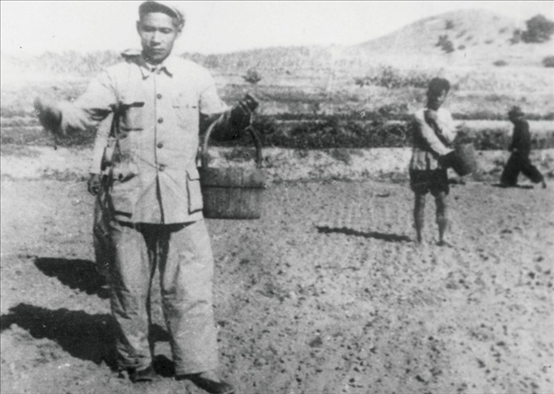 △ 谷文昌在福建省東山縣坑北村參加播種。