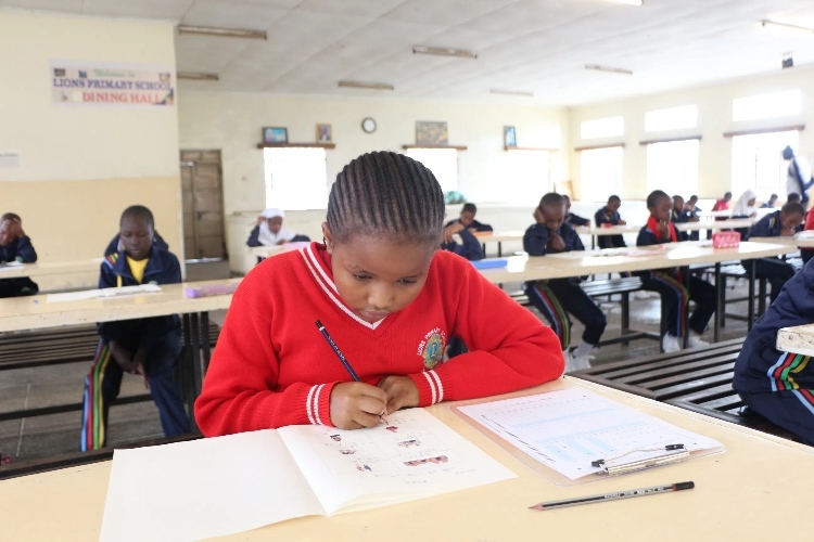 考場(chǎng)現(xiàn)場(chǎng)。埃格頓大學(xué)孔子學(xué)院供圖