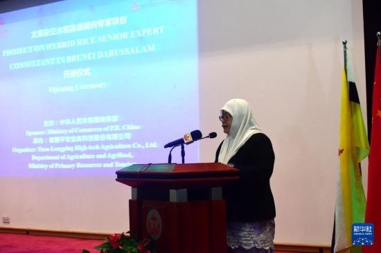 10月26日，文萊初級(jí)資源與旅游部常任秘書圖蒂亞蒂在斯里巴加灣市出席中國(guó)與文萊雜交水稻高級(jí)專家顧問項(xiàng)目啟動(dòng)儀式。新華社記者 李萌 攝