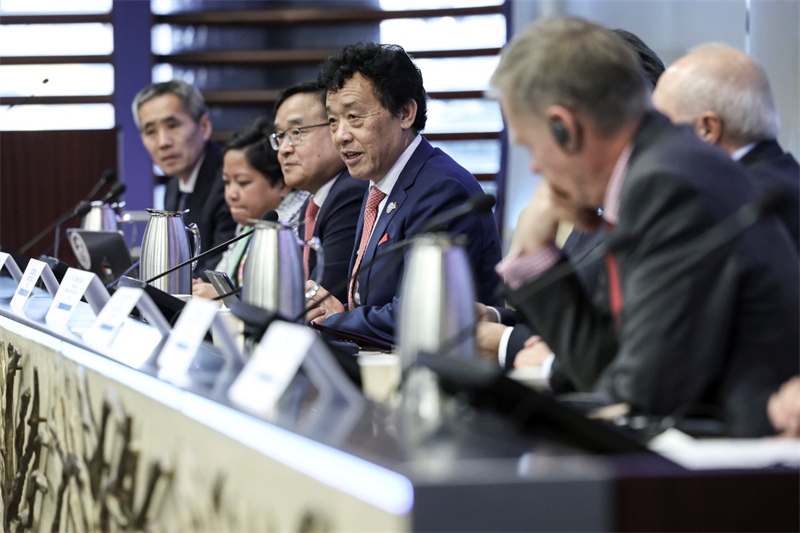 來自聯(lián)合國糧農(nóng)機構(gòu)及各國代表與會并發(fā)言。主辦方供圖