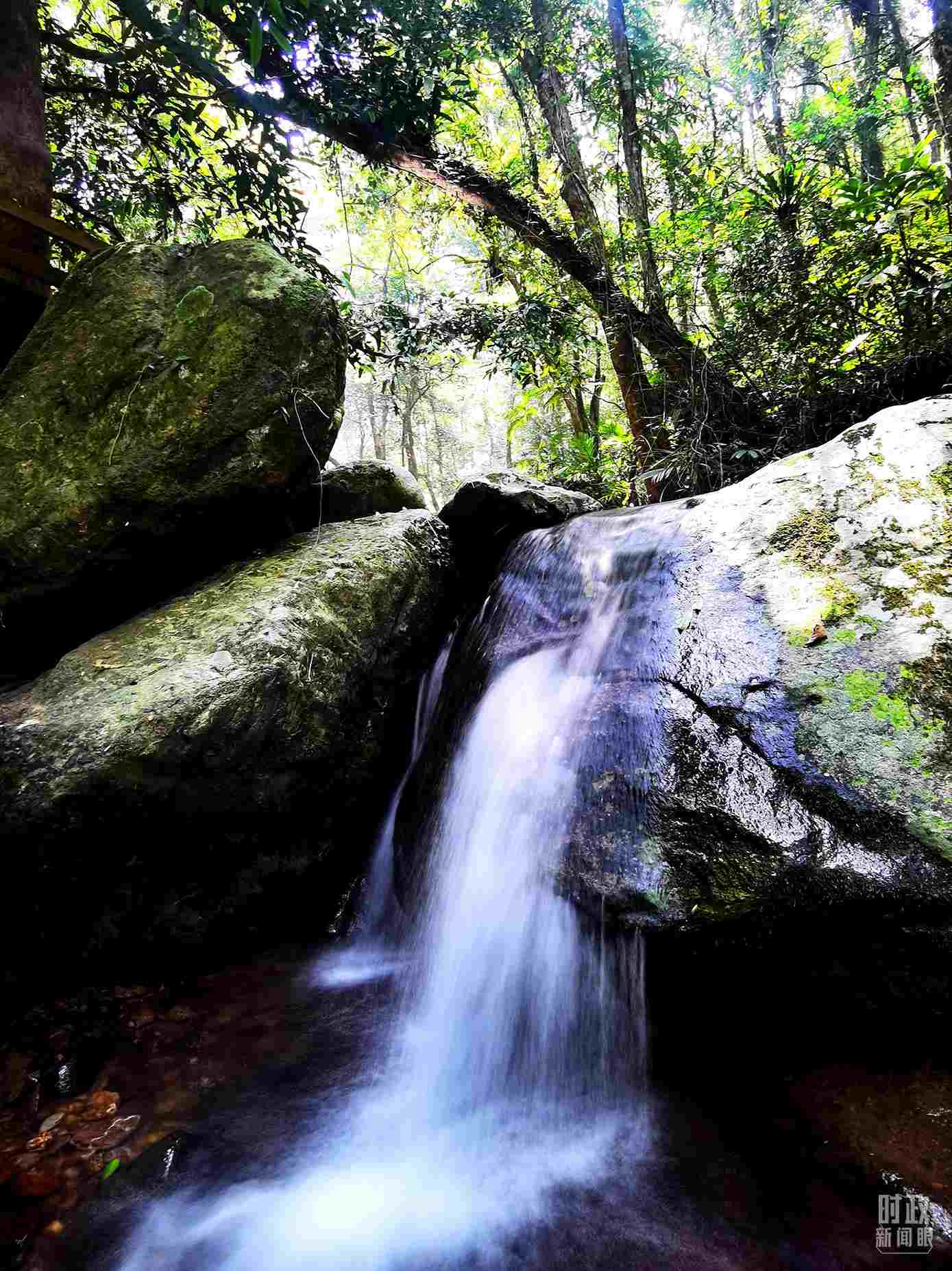 海南五指山。（總臺央視記者劉琦拍攝）