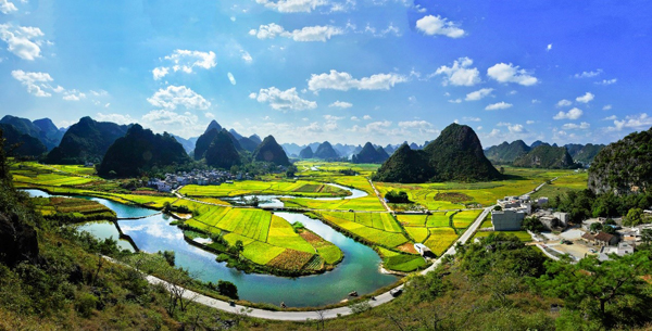 廣西天等都康田園風光。主辦方供圖
