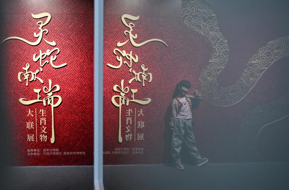 1月18日，一名小朋友在國(guó)家自然博物館舉辦的“靈蛇獻(xiàn)瑞——2025乙巳蛇年生肖文物大聯(lián)展”展覽中拍照留念。（新華社記者 陳鐘昊 攝）