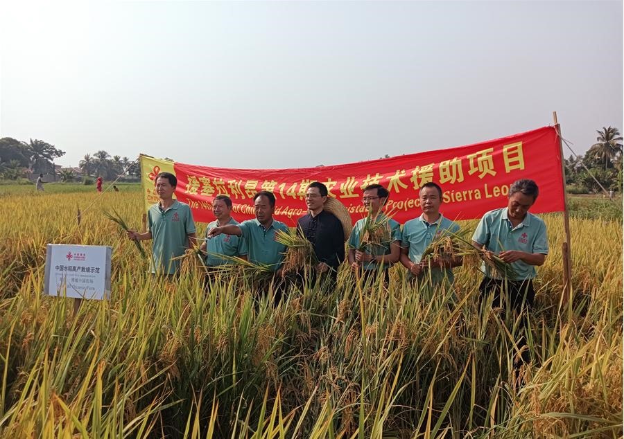中國駐塞拉利昂大使王擎和援塞農(nóng)業(yè)專家組合影。中國援塞農(nóng)業(yè)專家組供圖