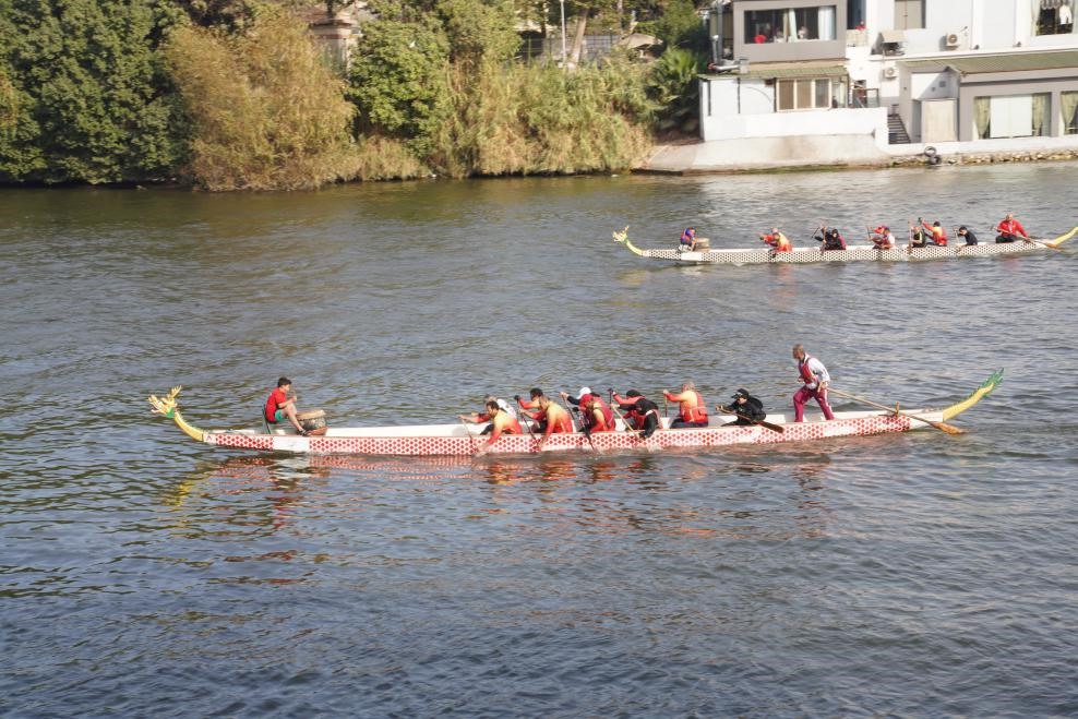 活動現(xiàn)場龍舟競技，共慶春節(jié)。開羅中國文化中心供圖