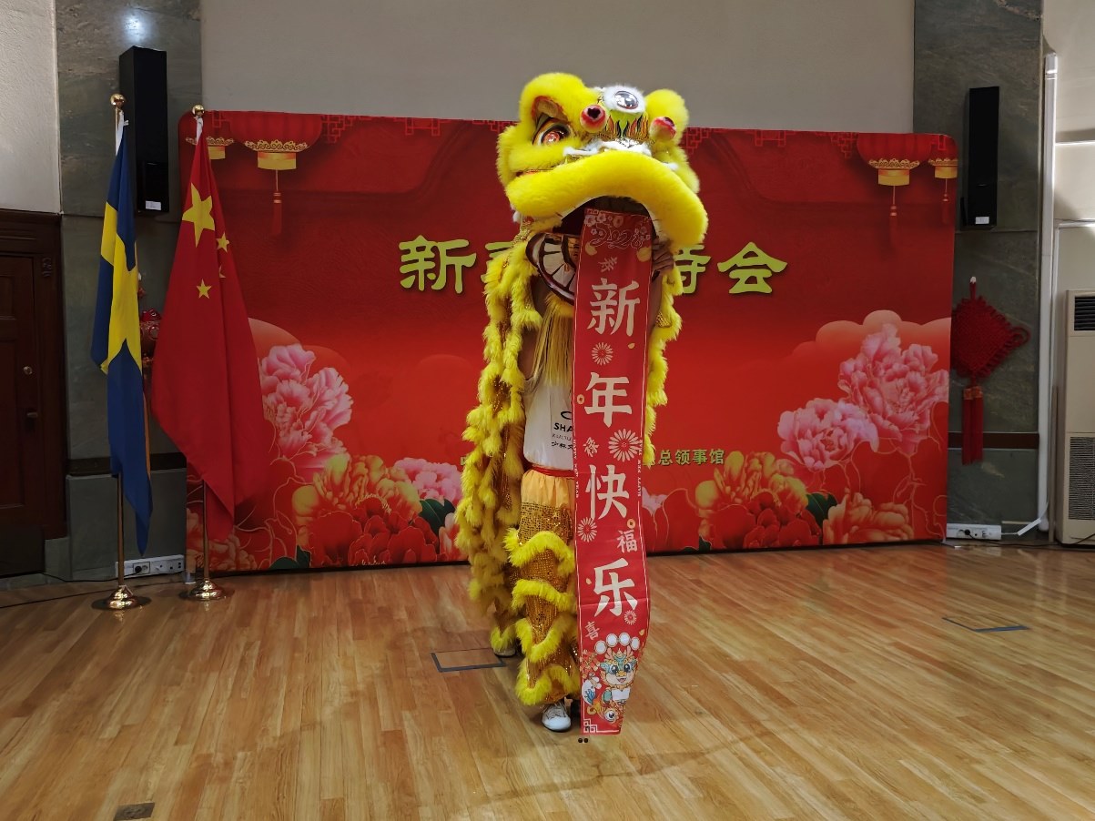 開場(chǎng)舞獅表演。中國(guó)駐哥德堡總領(lǐng)館供圖