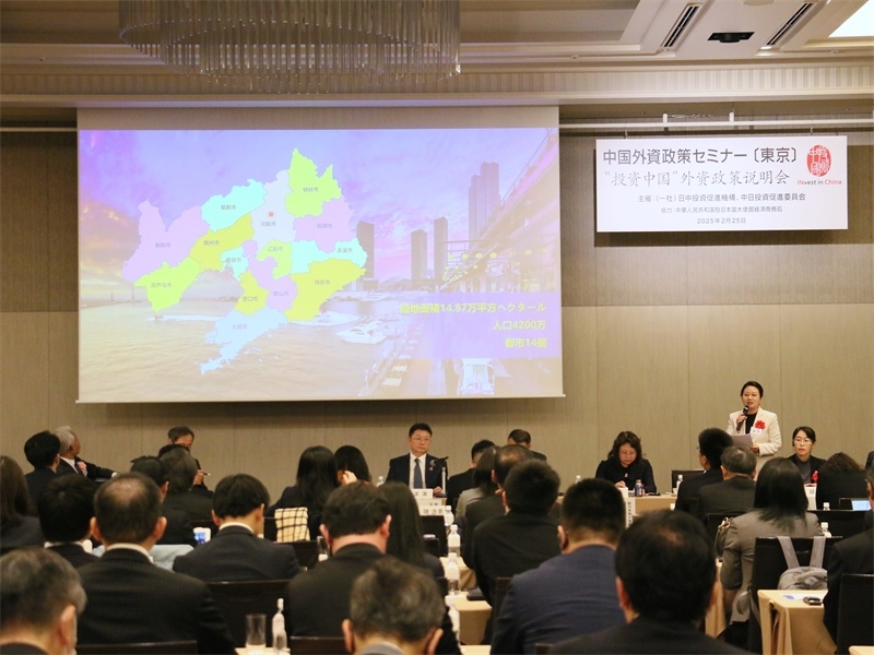 地方代表進(jìn)行專題投資推介。人民網(wǎng) 許可攝