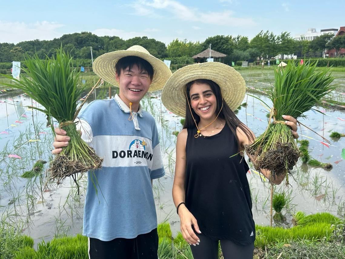 卡友琪在插秧。受訪者供圖