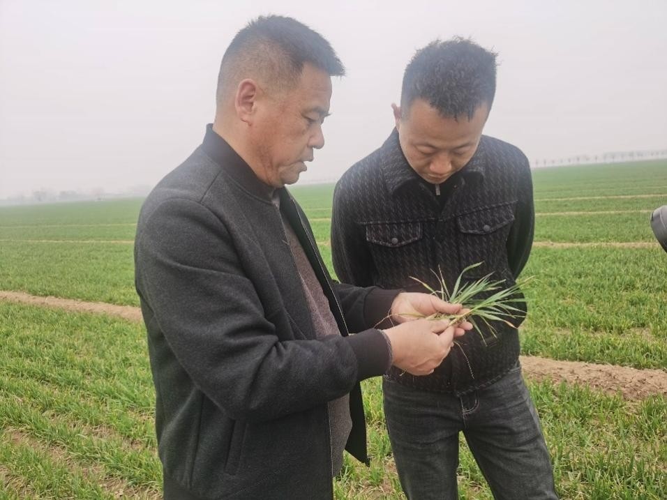 在山東濟寧汶上縣苑莊鎮(zhèn)，農(nóng)技員黃海龍對種糧大戶王振現(xiàn)場進行春耕指導。人民網(wǎng)記者 車柯蒙攝