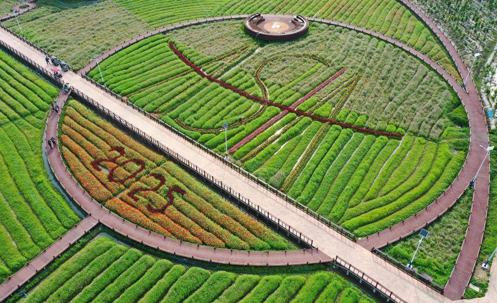 這是3月21日拍攝的瓊海博鰲南強(qiáng)村景色（無人機(jī)照片）。新華社記者 郭程 攝