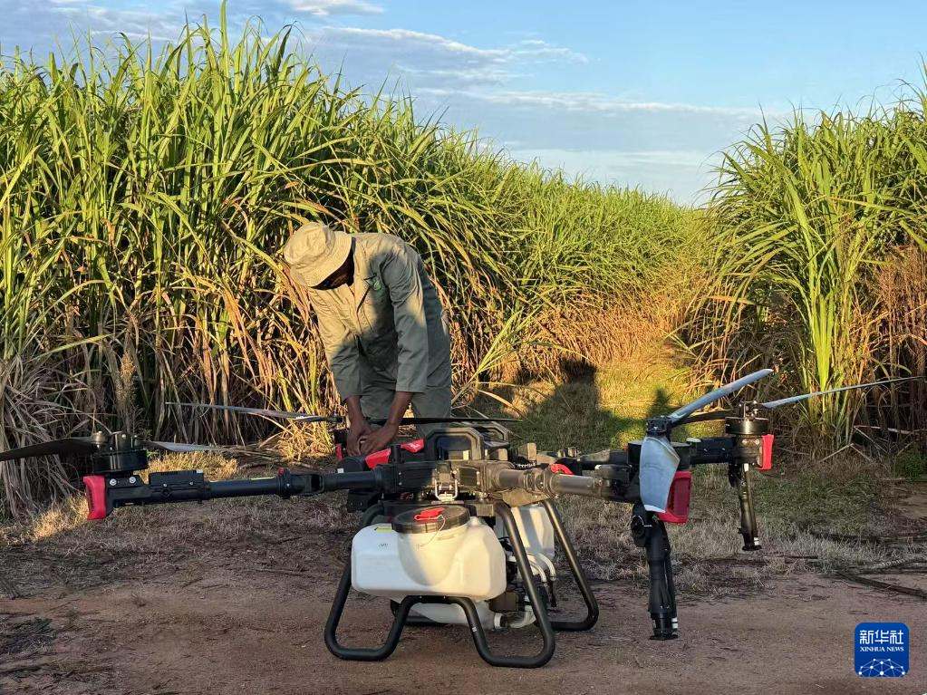 3月25日，在南非夸祖魯-納塔爾省的方廷希爾莊園，工作人員為無人機(jī)做起飛作業(yè)前的準(zhǔn)備。新華社記者 白舸 攝