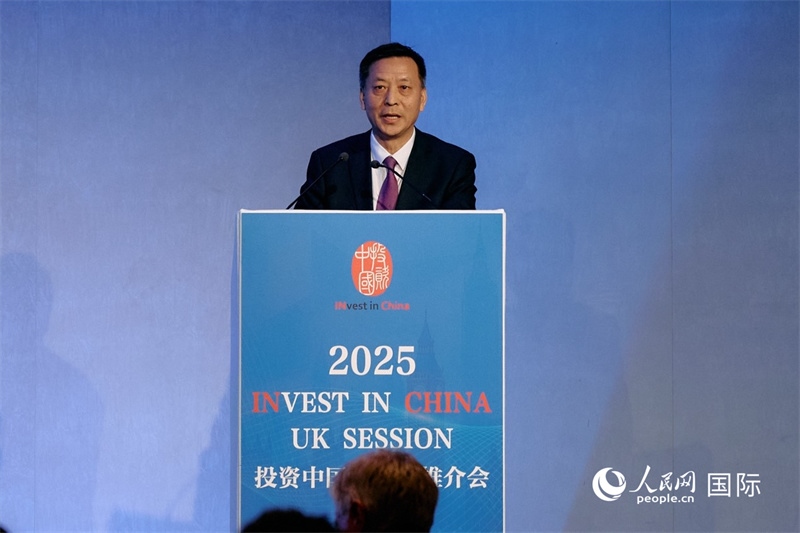 中國駐英國大使館經濟商務公使余本林發(fā)表致辭。楊浩鵬攝