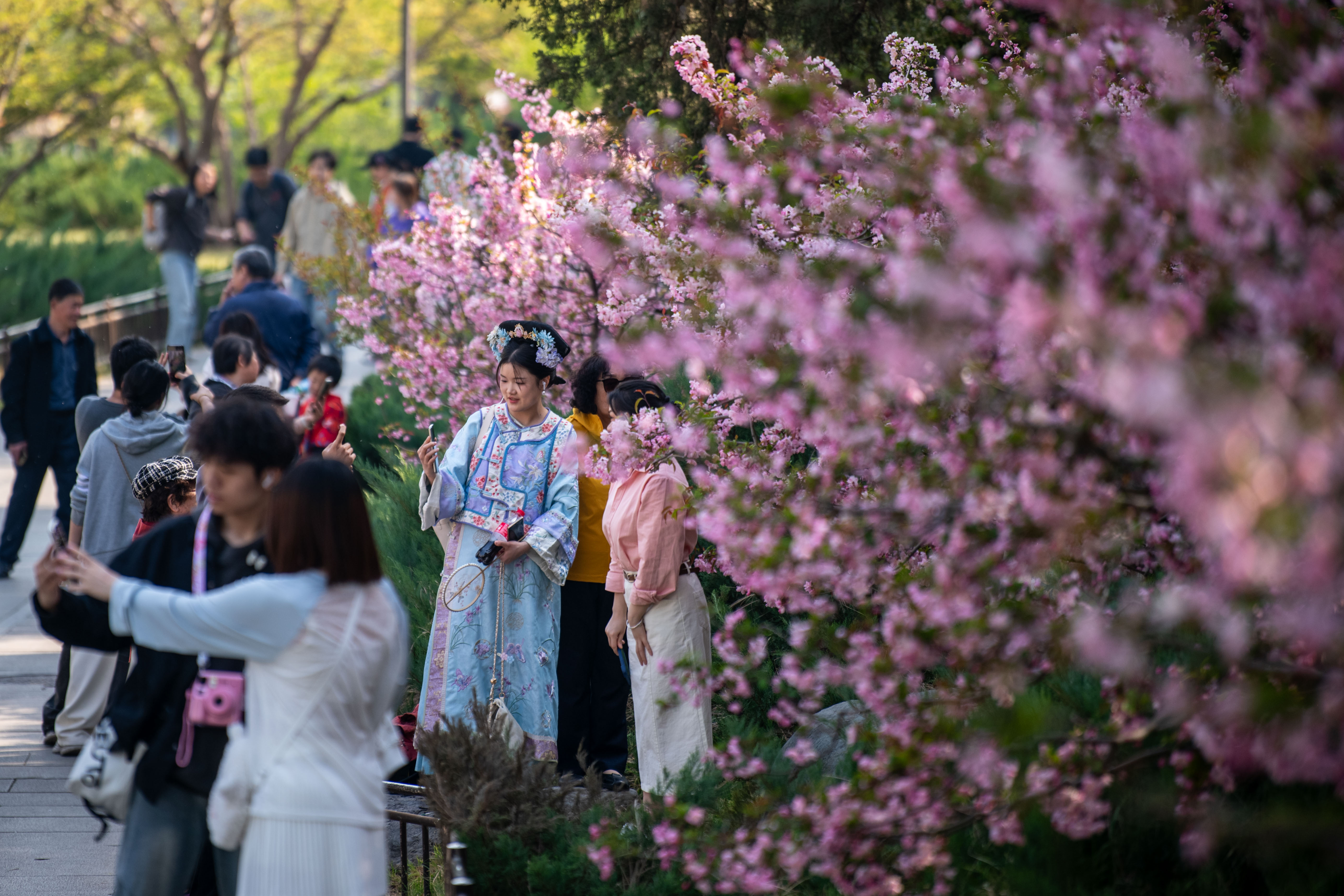 2025年4月6日，北京北海公園，滿園春色醉游人。人民網(wǎng)記者 翁奇羽攝